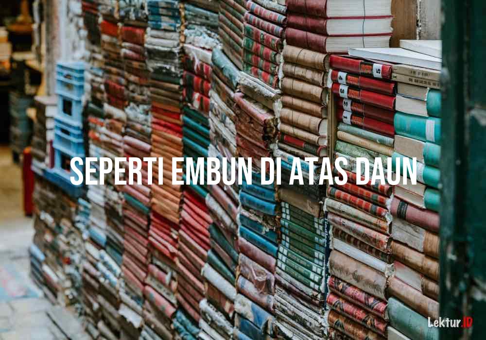 Rahasia Kecantikan Tersembunyi Australia: Embun Eucalyptus, Sumber Skincare Alami yang Kaya Manfaat