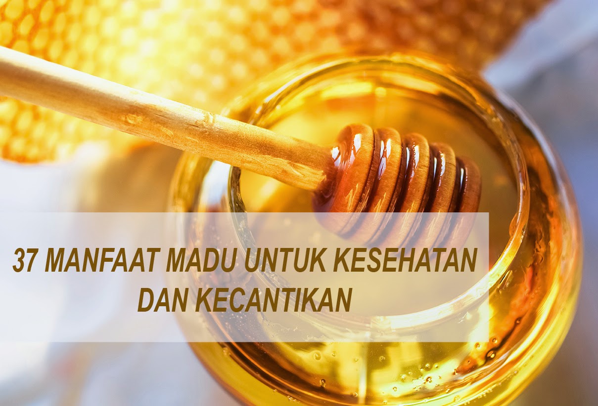 Mengambil Madu Asli – Bagaimana Ia Membantu Kecantikan