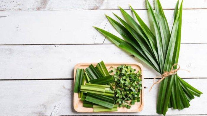 Toner Daun Pandan DIY Untuk Menyegarkan Kulit